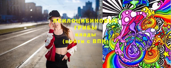 бошки Пересвет