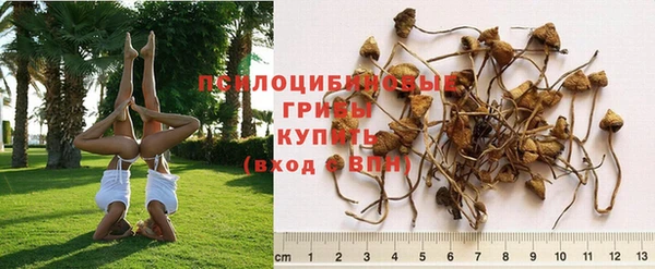 хмурый Осташков