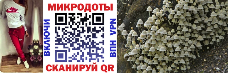 дарнет шоп  Апрелевка  Галлюциногенные грибы Psilocybine cubensis 