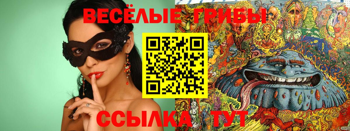 Псилоцибиновые грибы мицелий Апрелевка