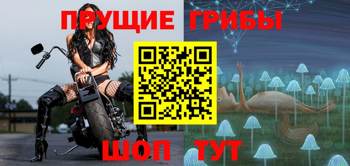 Галлюциногенные грибы Psilocybe  где купить наркоту  Апрелевка 