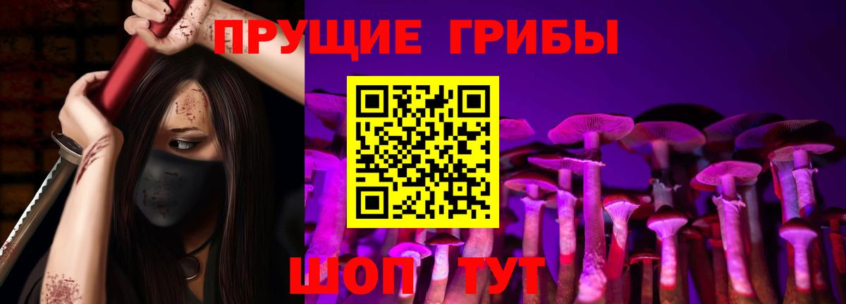 Псилоцибиновые грибы прущие грибы  Псилоцибиновые грибы мухоморы  Апрелевка  Вход с VPN 